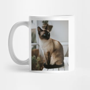 Cute Siamese Cat Pet Mug